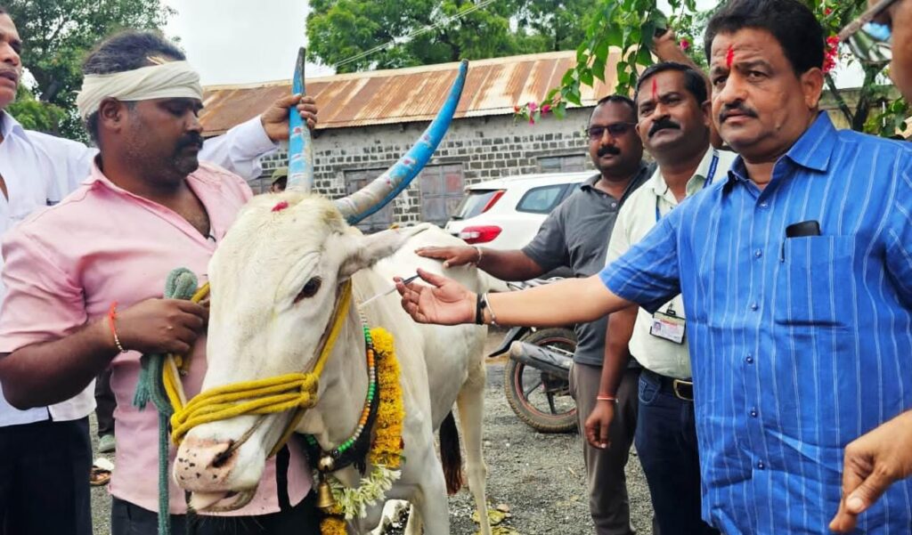 ಜಾನುವಾರುಗಳಿಗೆ ತಪ್ಪದೇ ಲಸಿಕೆ ಹಾಕಿಸಿ :ಶಾಸಕ ಮನಗೂಳಿ