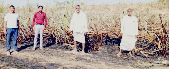 ಕಬ್ಬಿನ ಗದ್ದೆಗೆ ಬೆಂಕಿ :ಅಪಾರ ಹಾನಿ