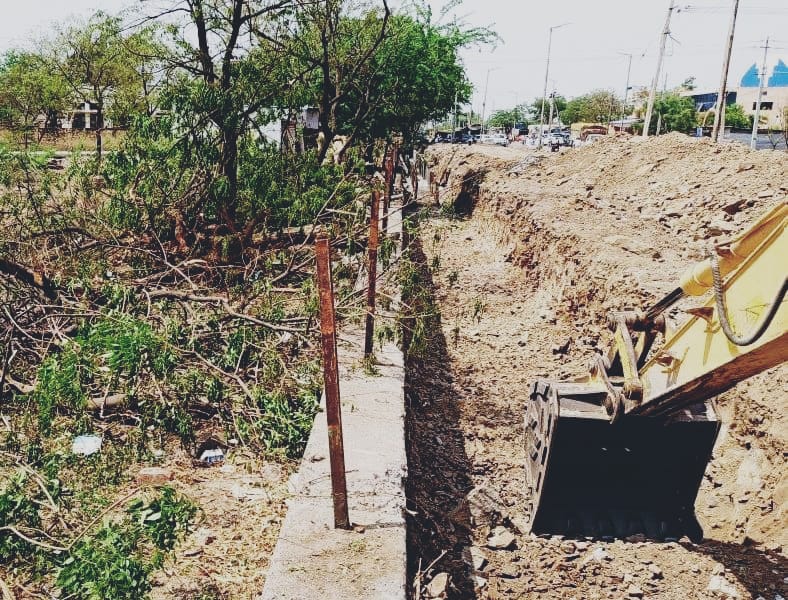 ರಸ್ತೆ ಕಾಮಗಾರಿಗಾಗಿ ಮರಗಳ ಮಾರಣಹೋಮ :ಸಾರ್ವಜನಿಕರ ಅಸಮಾಧಾನ