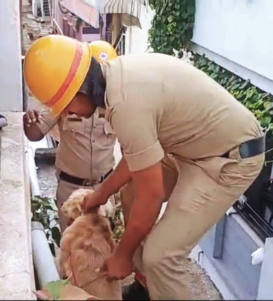 ನಾಯಿಯನ್ನು ರಕ್ಷಿಸಿದ ಅಗ್ನಿಶಾಮಕ ಸಿಬ್ಬಂದಿ