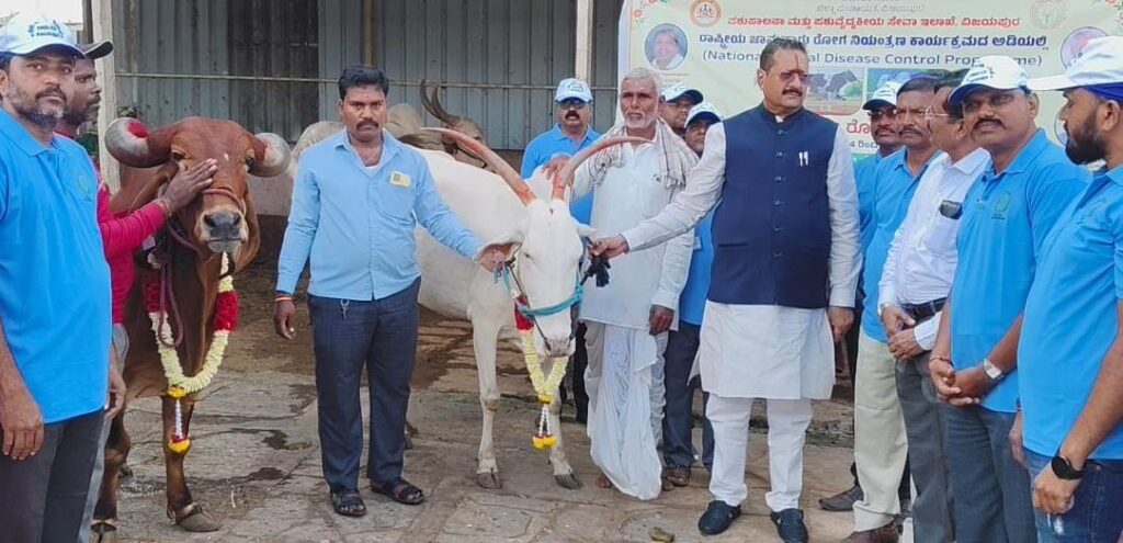 ಗೋ ಸಂಪತ್ತು ದೇಶದ ಸಂಪತ್ತು :ಶಾಸಕ ಯತ್ನಾಳ