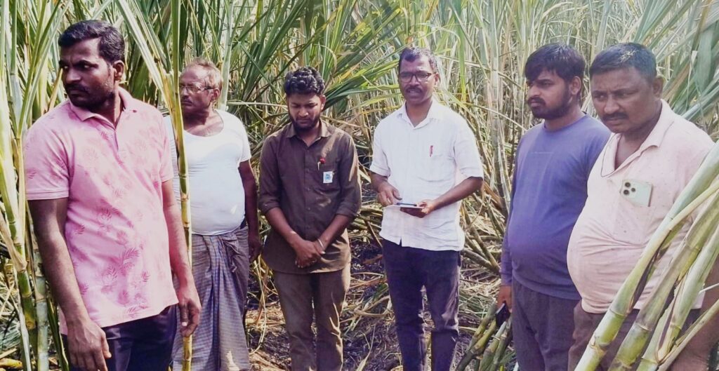 ವಿದ್ಯುತ್ ತಂತಿ ಹರಿದು ಕಬ್ಬಿನ ಗದ್ದೆಗೆ ಬೆಂಕಿ: ಅಪಾರ ನಷ್ಟ