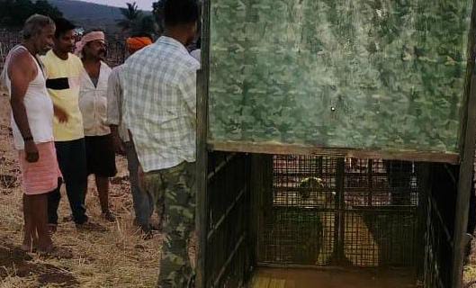 ಚಿರತೆ ಹಾವಳಿ: ಭಯದ ವಾತಾವರಣದಲ್ಲಿ ಗ್ರಾಮಸ್ಥರು