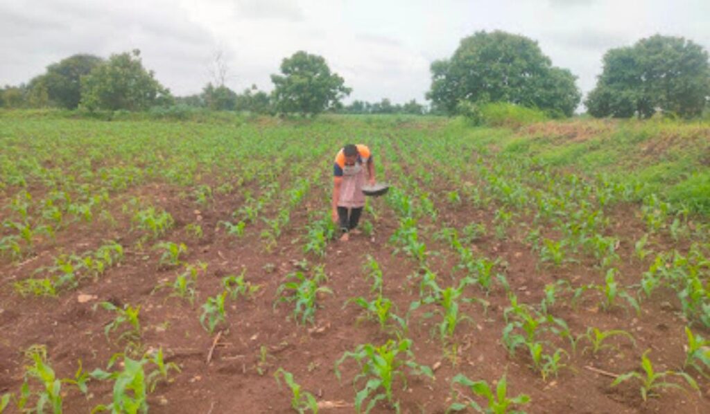 ದುಪ್ಪಟ್ಟು ಬೆಲೆಗೆ ಯೂರಿಯಾ ಮಾರಾಟ :ಕ್ರಮಕ್ಕೆ ಮುಂದಾಗದ ಅಧಿಕಾರಿಗಳು
