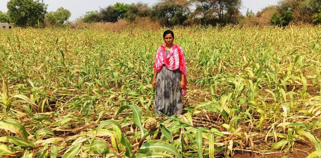 ಬಿರುಗಾಳಿ ಮಳೆಗೆ ನೆಲಕ್ಕೊರಗಿದ ಜೋಳದ ಬೆಳೆ