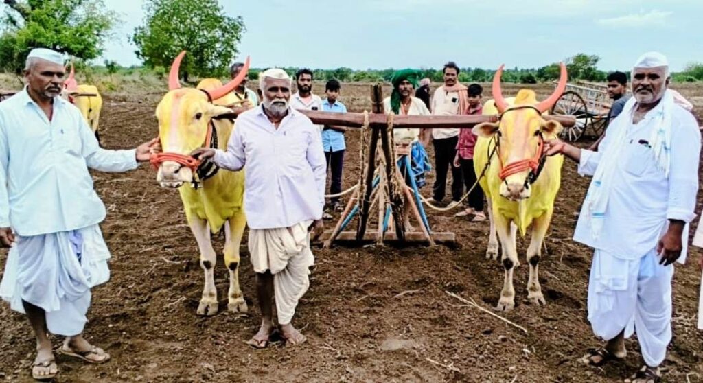 ಚಿಕ್ಕರೂಗಿ ರೈತನ ಭಿತ್ತನೆ ಸಾಧನೆ :ಗ್ರಾಮಸ್ಥರಿಂದ ಮೆರವಣಿಗೆ
