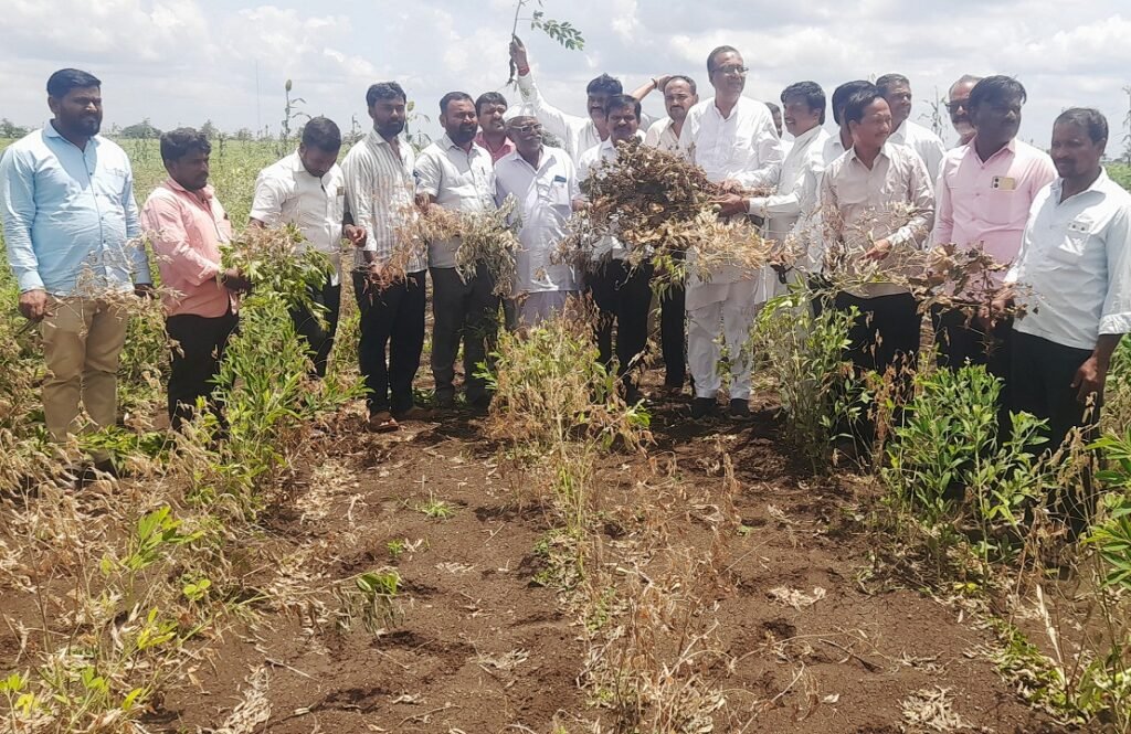 ರೈತರ ಜಮೀನುಗಳಿಗೆ ಮಾಜಿ ಶಾಸಕ ಸೋಮನಗೌಡ ಭೇಟಿ