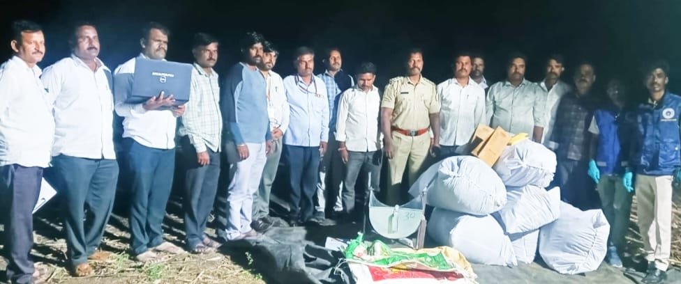 ಕಬ್ಬಿನ ಗದ್ದೆಯ ಮರೆಯಲ್ಲಿ ಗಾಂಜಾ ಬೆಳೆ! ಆರೋಪಿ ಬಂಧನ