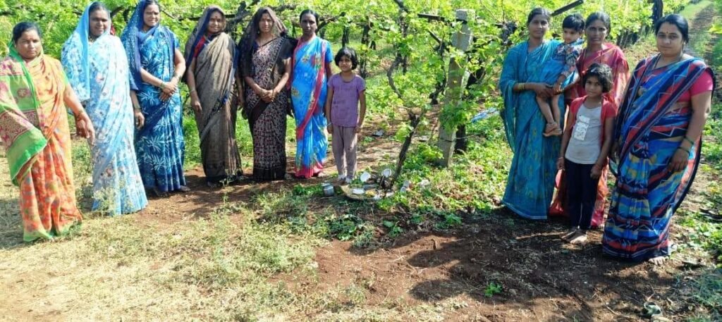 ಶೀಗೆ ಹುಣ್ಣಿಮೆ: ಚರಗ ಚೆಲ್ಲಿದ ರೈತ ಮಹಿಳೆಯರು